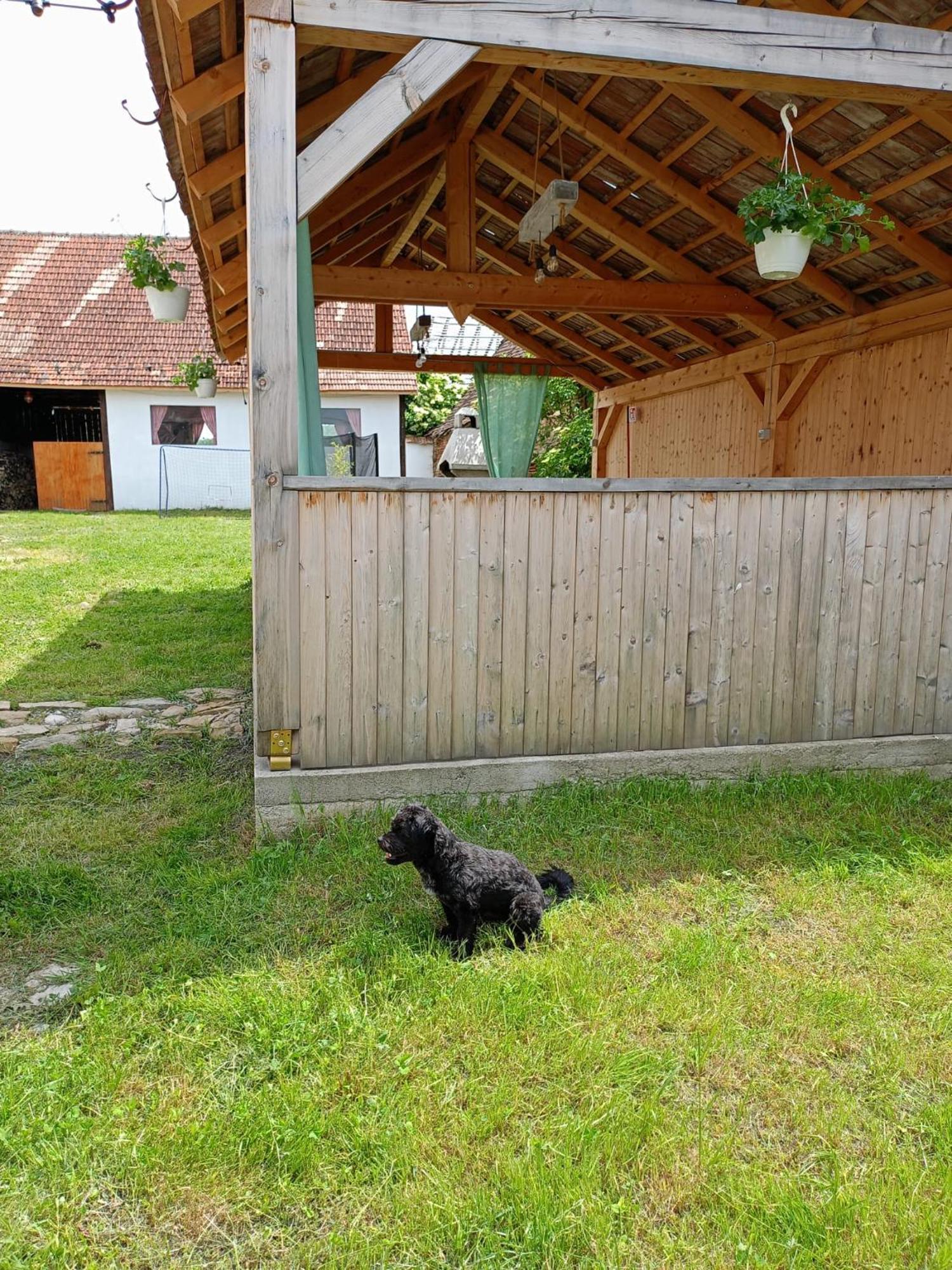 Chalet Giuel Barcut ภายนอก รูปภาพ